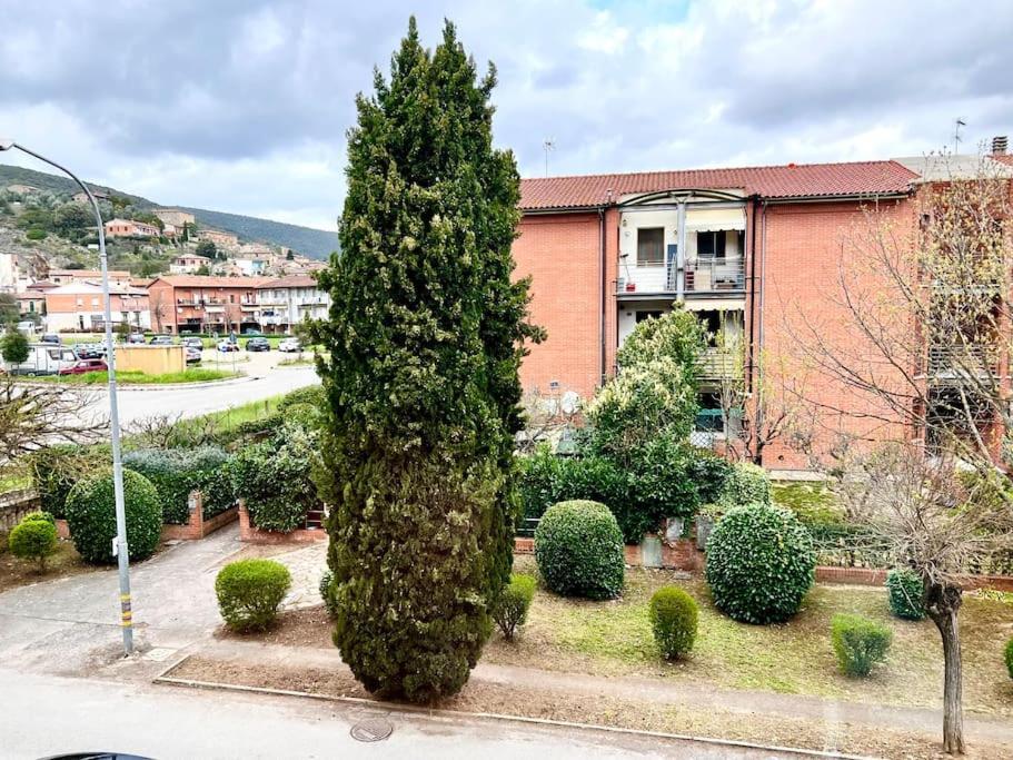 Appartamento Comfyspot Rosia Esterno foto